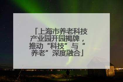 上海市养老科技产业园开园揭牌，推动“科技”与“养老”深度融合