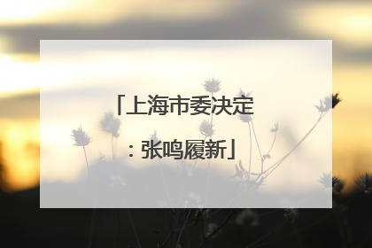 上海市委决定：张鸣履新