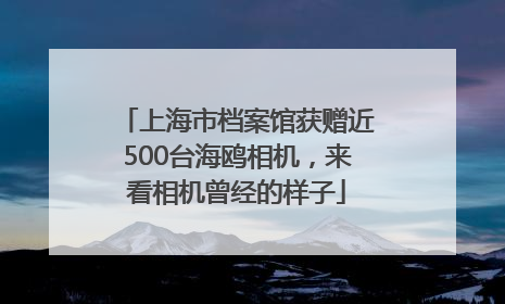 上海市档案馆获赠近500台海鸥相机，来看相机曾经的样子