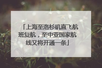 上海至洛杉矶直飞航班复航，至中亚国家航线又将开通一条
