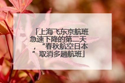 上海飞东京航班急速下降的第二天，“春秋航空日本”取消多趟航班