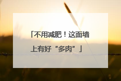 不用减肥！这面墙上有好“多肉”