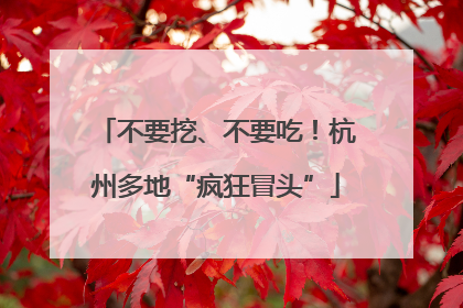 不要挖、不要吃！杭州多地“疯狂冒头”