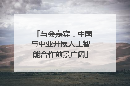 与会嘉宾：中国与中亚开展人工智能合作前景广阔