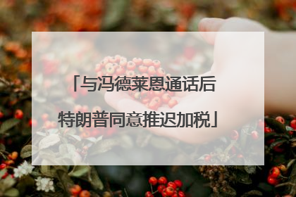 与冯德莱恩通话后 特朗普同意推迟加税