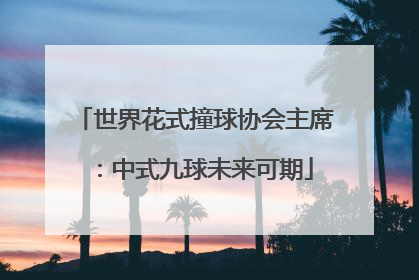 世界花式撞球协会主席：中式九球未来可期