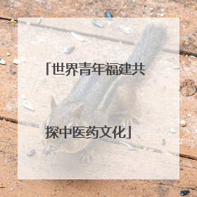 世界青年福建共探中医药文化