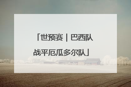 世预赛｜巴西队战平厄瓜多尔队