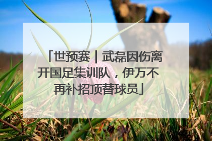 世预赛｜武磊因伤离开国足集训队，伊万不再补招顶替球员