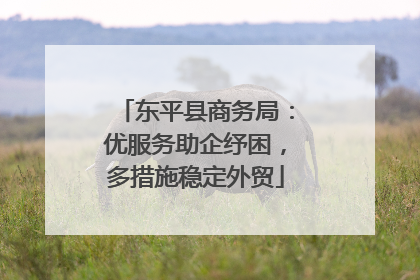 东平县商务局：优服务助企纾困，多措施稳定外贸