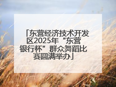 东营经济技术开发区2025年“东营银行杯”群众舞蹈比赛圆满举办