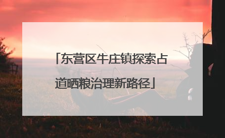 东营区牛庄镇探索占道晒粮治理新路径