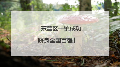 东营区一镇成功跻身全国百强