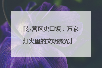 东营区史口镇：万家灯火里的文明微光