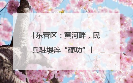 东营区：黄河畔，民兵驻堤淬“硬功”