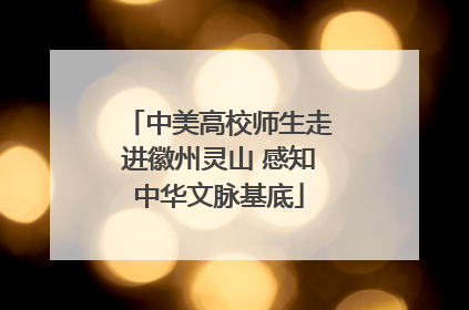 中美高校师生走进徽州灵山 感知中华文脉基底