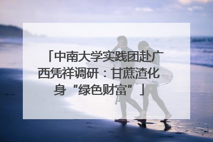 中南大学实践团赴广西凭祥调研：甘蔗渣化身“绿色财富”
