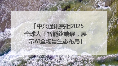中兴通讯亮相2025全球人工智能终端展，展示AI全场景生态布局
