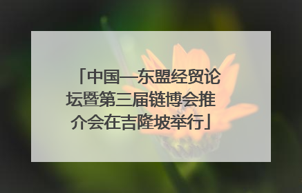 中国—东盟经贸论坛暨第三届链博会推介会在吉隆坡举行