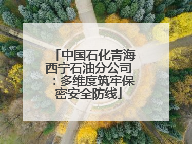 中国石化青海西宁石油分公司：多维度筑牢保密安全防线