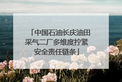 中国石油长庆油田采气二厂多维度拧紧安全责任链条