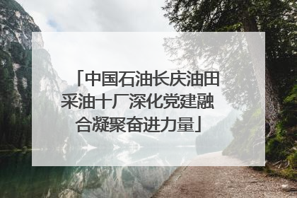 中国石油长庆油田采油十厂深化党建融合凝聚奋进力量