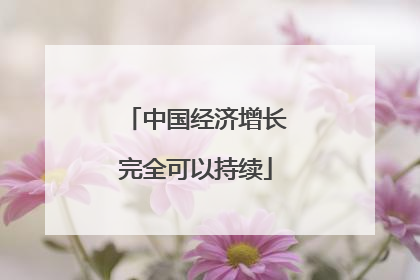 中国经济增长完全可以持续