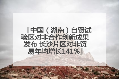 中国（湖南）自贸试验区对非合作创新成果发布 长沙片区对非贸易年均增长141%
