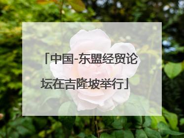 中国-东盟经贸论坛在吉隆坡举行