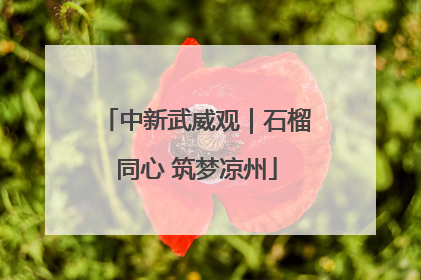 中新武威观｜石榴同心 筑梦凉州