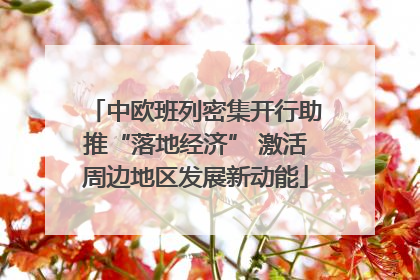中欧班列密集开行助推“落地经济” 激活周边地区发展新动能