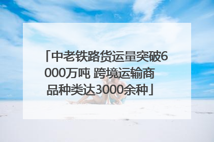 中老铁路货运量突破6000万吨 跨境运输商品种类达3000余种