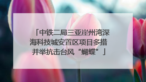 中铁二局三亚崖州湾深海科技城安置区项目多措并举抗击台风“蝴蝶”
