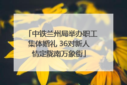 中铁兰州局举办职工集体婚礼 36对新人情定陇南万象街