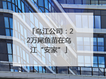 乌江公司：22万尾鱼苗在乌江“安家”