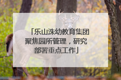 乐山洙幼教育集团聚焦园所管理，研究部署重点工作