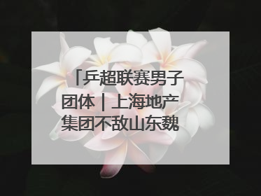 乒超联赛男子团体｜上海地产集团不敌山东魏桥·向尚运动