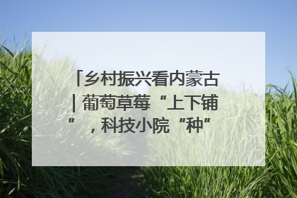 乡村振兴看内蒙古｜葡萄草莓“上下铺”，科技小院“种”出三倍效益