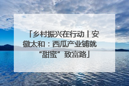 乡村振兴在行动丨安徽太和：西瓜产业铺就“甜蜜”致富路