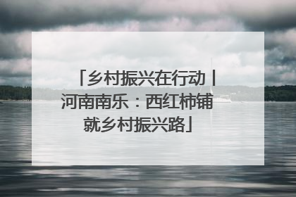 乡村振兴在行动丨河南南乐：西红柿铺就乡村振兴路