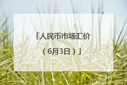 人民币市场汇价（6月3日）