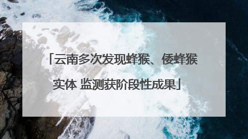 云南多次发现蜂猴、倭蜂猴实体 监测获阶段性成果
