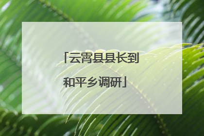 云霄县县长到和平乡调研