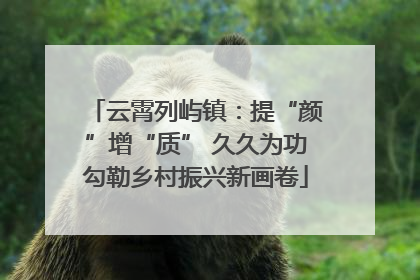 云霄列屿镇：提“颜”增“质” 久久为功勾勒乡村振兴新画卷