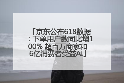 京东公布618数据：下单用户数同比增100% 超百万商家和6亿消费者受益AI