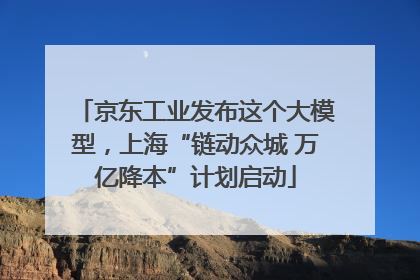 京东工业发布这个大模型，上海“链动众城 万亿降本”计划启动