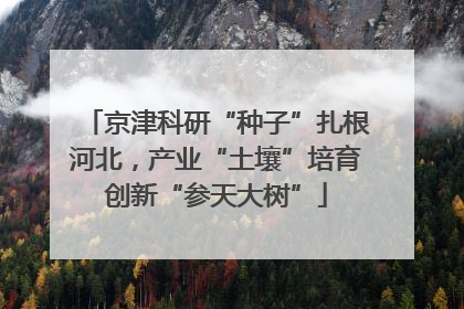京津科研“种子”扎根河北，产业“土壤”培育创新“参天大树”