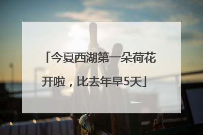 今夏西湖第一朵荷花开啦，比去年早5天