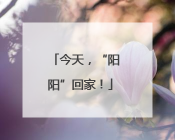 今天，“阳阳”回家！