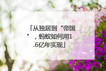 从独居到“帝国”，蚂蚁如何用1.6亿年实现